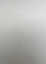 Foto oficial de Nelson Pinto